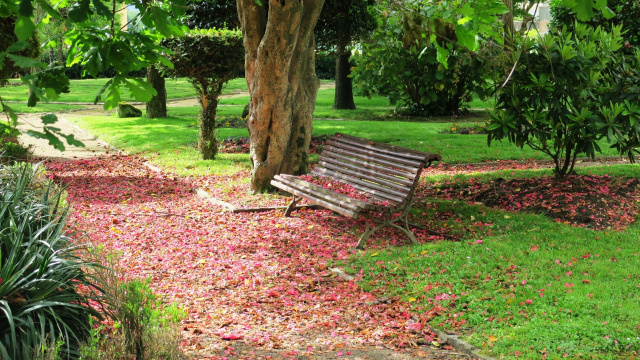 Xardín Botánico Artístico de Padrón