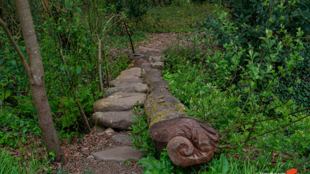 Puente de Camilo Seira