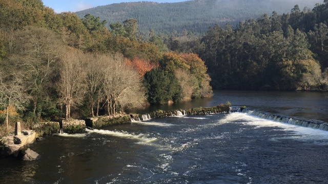 “Pesqueiras” on the Ulla River